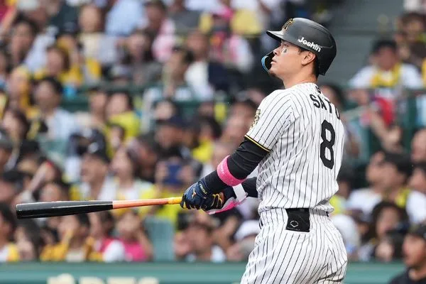 阪神虎佐藤輝明(photo：NPB)/金享娛樂城