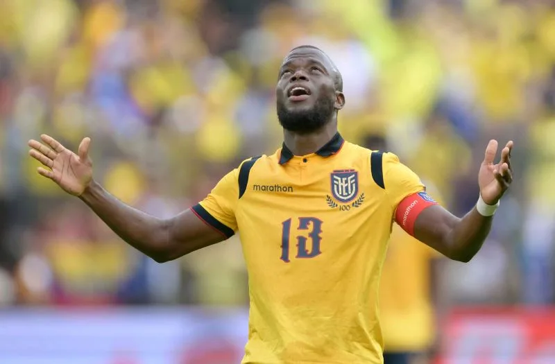 厄瓜多在預選賽中表現出色,不要以為德國能輕鬆過關/金享娛樂城(photo by deccan)