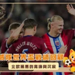 挪威隊世界盃戰績回顧