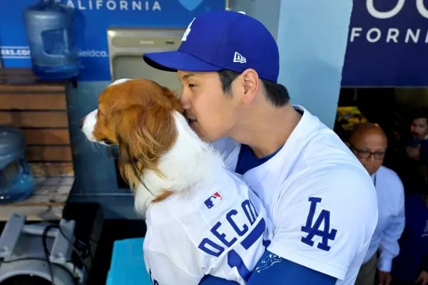 道奇大谷翔平(photo:MLB官網)/金享娛樂城
