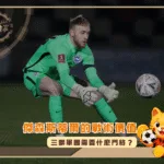 傑森斯蒂爾的戰術價值：三獅軍團需要什麼門將？(photo：independent)/金享娛樂城